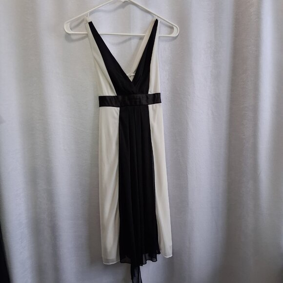 28. Alyn Paige V-Neck sleeveless Mini Cocktail Dress sheer overlay skirt empire - Picture 3 of 5